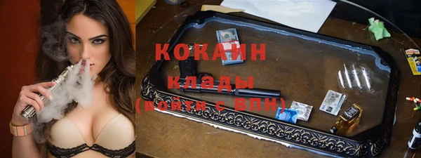 индика Балабаново