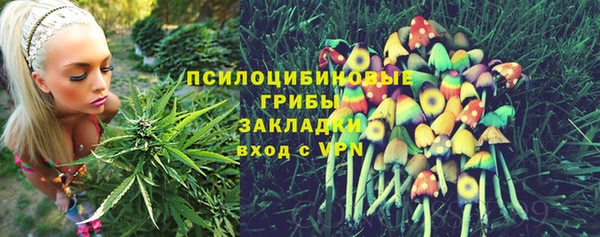 индика Балабаново