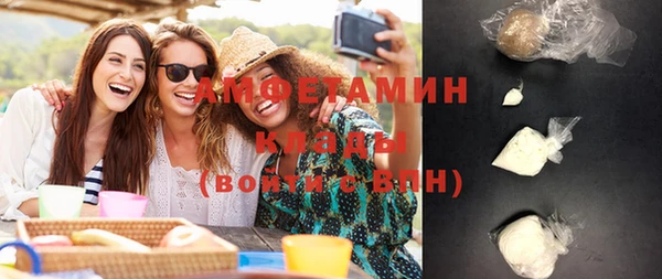 индика Балабаново