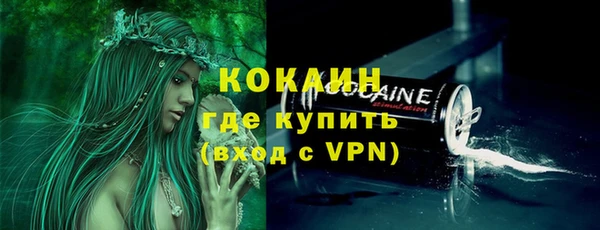 индика Балабаново