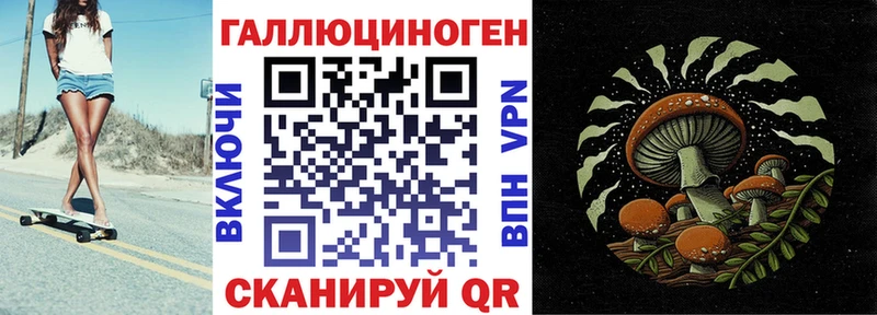 Галлюциногенные грибы прущие грибы  Купить  Новокубанск 